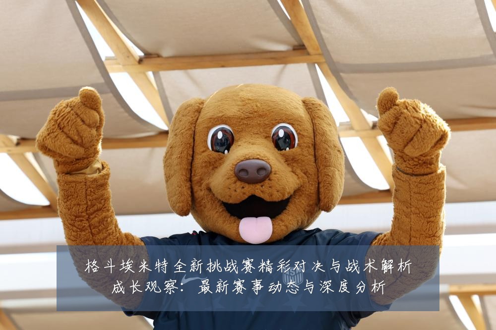格斗埃米特全新挑战赛精彩对决与战术解析成长观察：最新赛事动态与深度分析